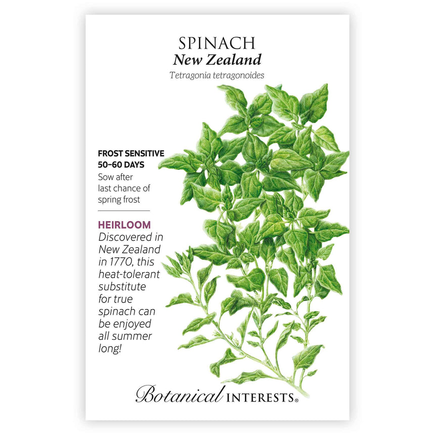 spinach seed planting depth High-quality Non-GMO, Organic, Heirloom Spinach Varieties, Cold-Hardy, High in Iron and Fast-Growing