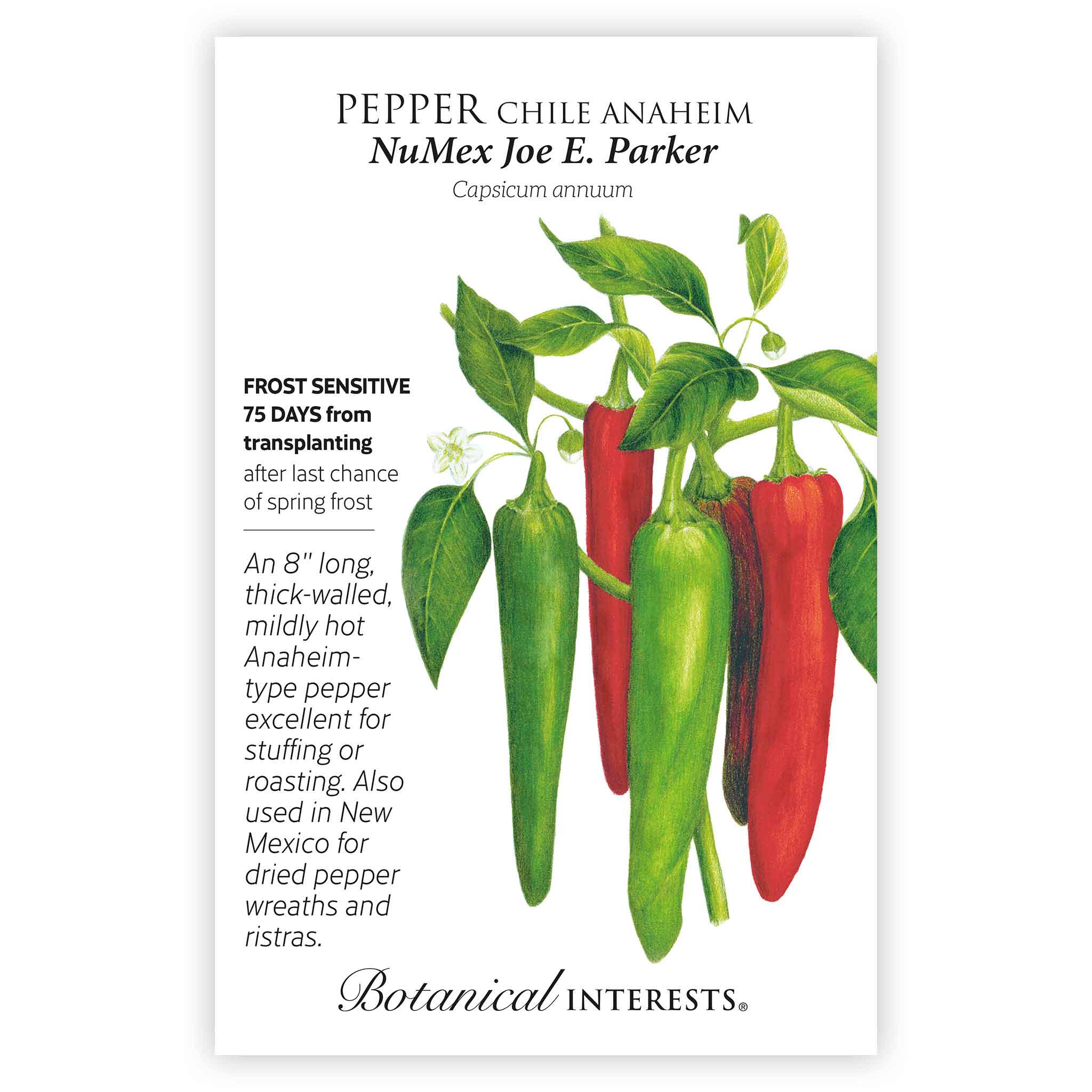NuMex Joe E. Parker Chile Anaheim Pepper Seeds – Botanical Interests