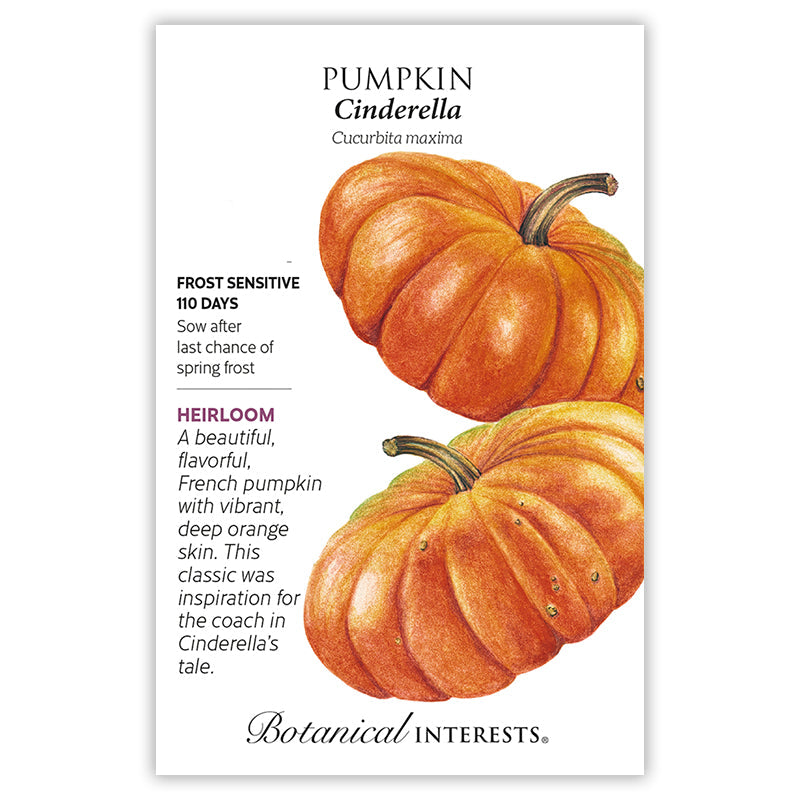 Cinderella Pumpkin Seeds Botanical Interests