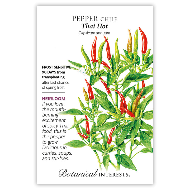 Chile Pepper Collection