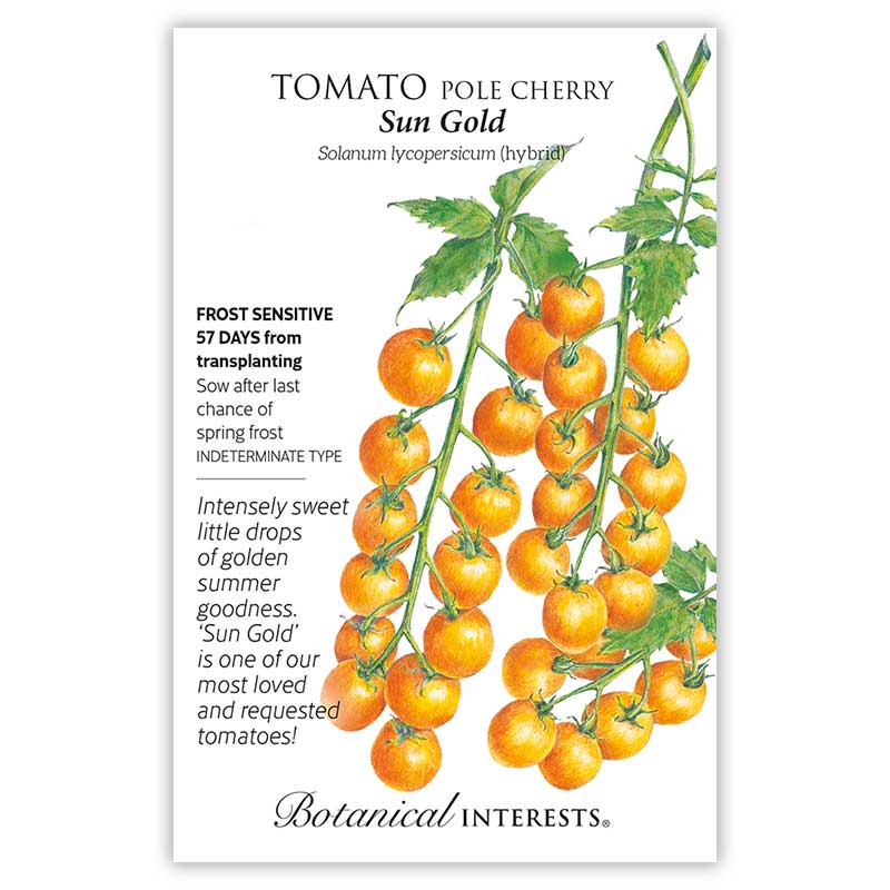 Sun Gold Pole Cherry Tomato Seeds