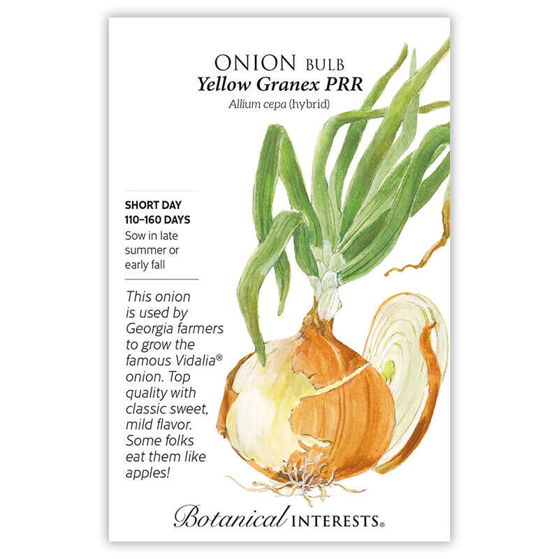 Yellow Granex PRR Bulb Onion Seeds