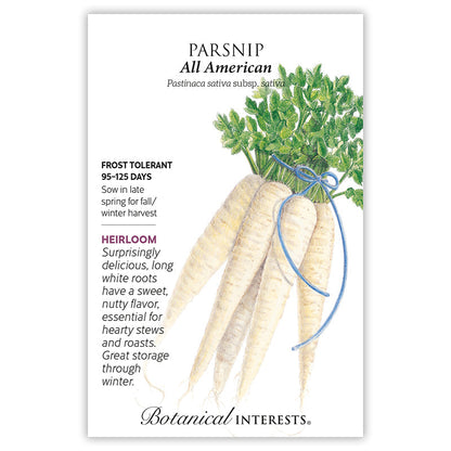 All American Parsnip Seeds