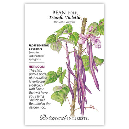Trionfo Violetto Pole Bean Seeds