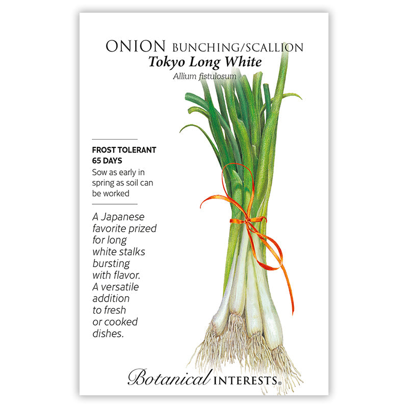 Tokyo Long White Bunching/Scallion Onion Seeds