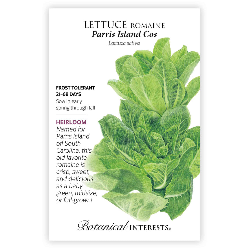 romaine lettuce seeds from plant Parris Island Cos Romaine Lettuce Seeds – Botanical Interests