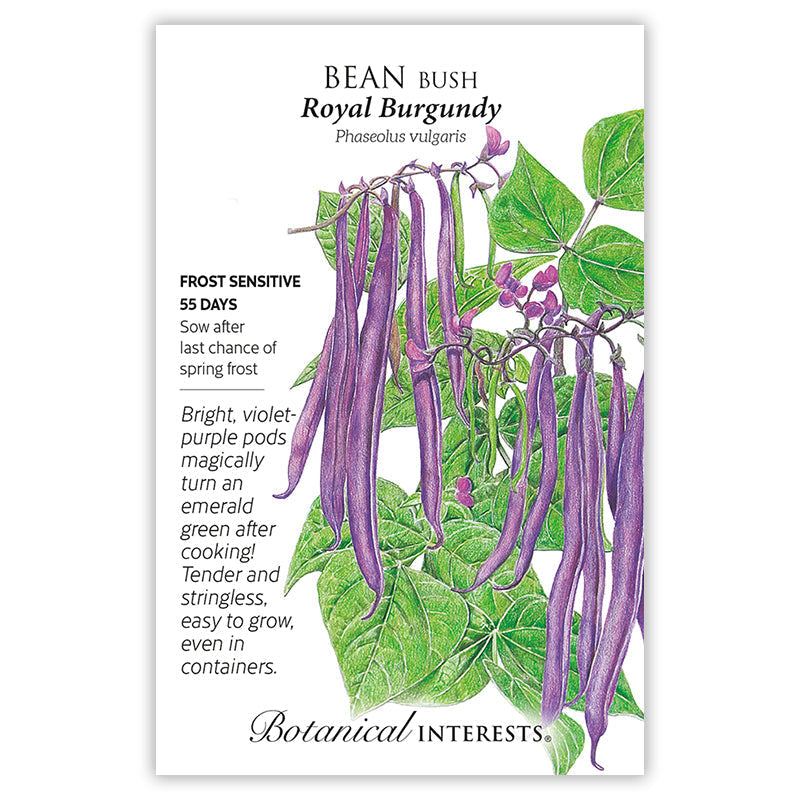 first state seed and garden My First Garden Seed Bundle – Botanical Interests