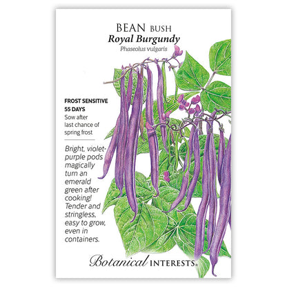 Royal Burgundy Bush Bean Seeds