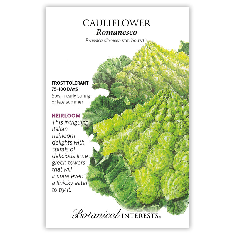 Romanesco Cauliflower Seeds