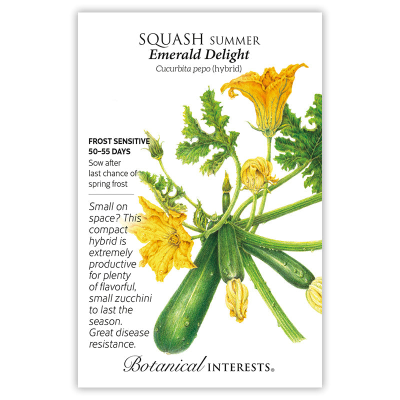 Container Vegetable Gift Set