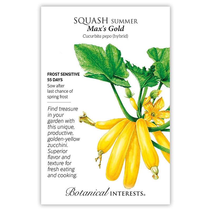 squash seed planting depth Max's Gold Summer Squash Seeds
