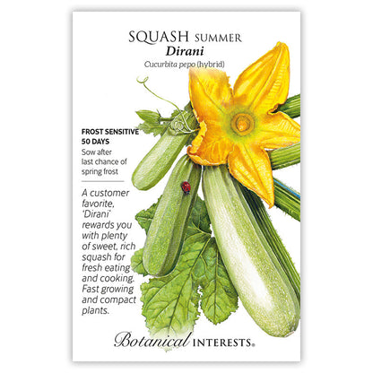 Dirani Summer Squash Seeds
