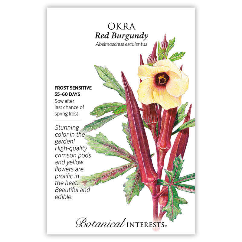 okra plant seeds Red Burgundy Okra Seeds