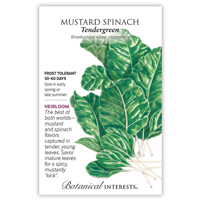 Tendergreen Mustard Spinach Seeds