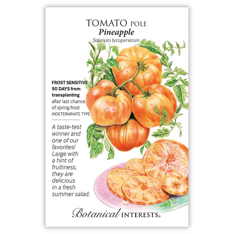 pineapple tomato plant height Pineapple Pole Tomato Seeds