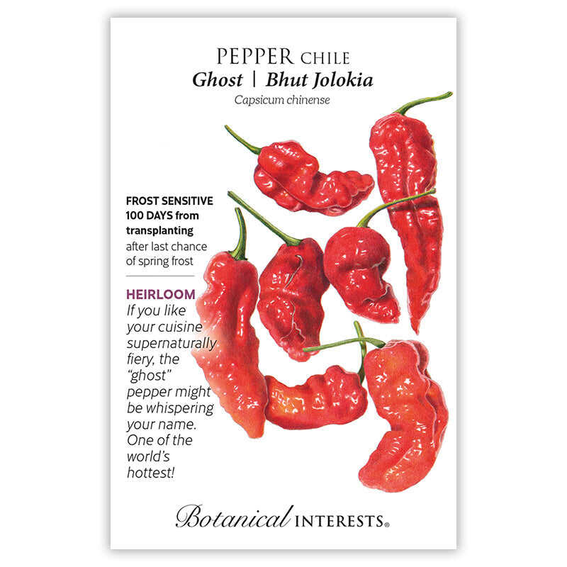 Ghost Bhut Jolokia Chile Pepper Seeds – Botanical Interests