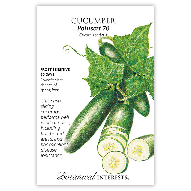 Poinsett 76 Cucumber Seeds