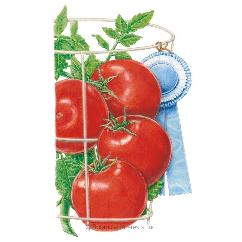 Red Pride Bush Tomato Seeds