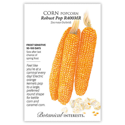 Robust Pop R400MR Popcorn Corn Seeds