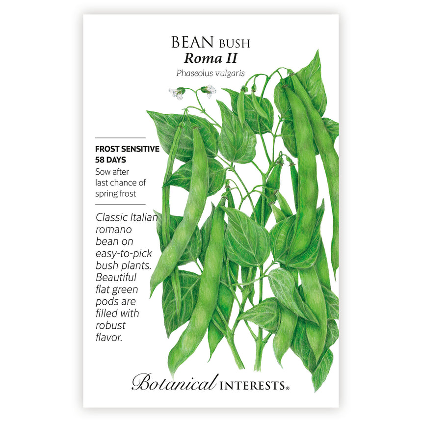 Roma II Bush Bean Seeds