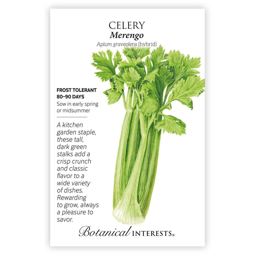 garden grass seeds in hindi Merengo Celery Seeds – Botanical Interests