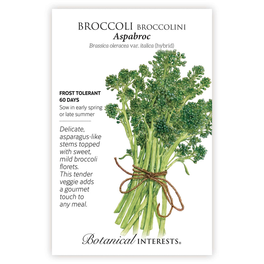 broccolini seeds for planting Aspabroc Broccolini Seeds