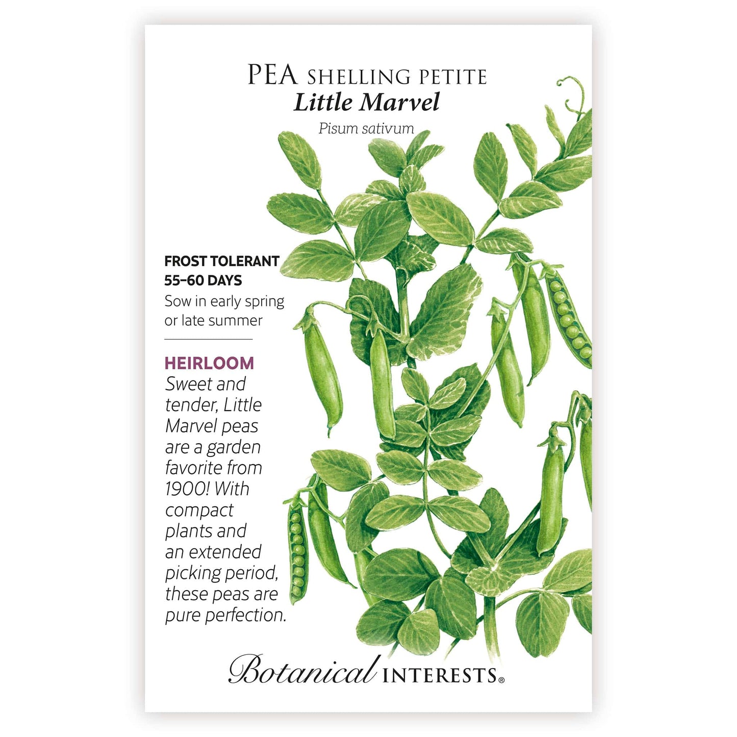 New Varieties 2026 Seed Bundle