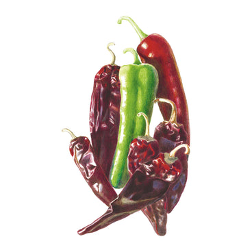 Durango Mirasol/Guajillo Chile Pepper Seeds