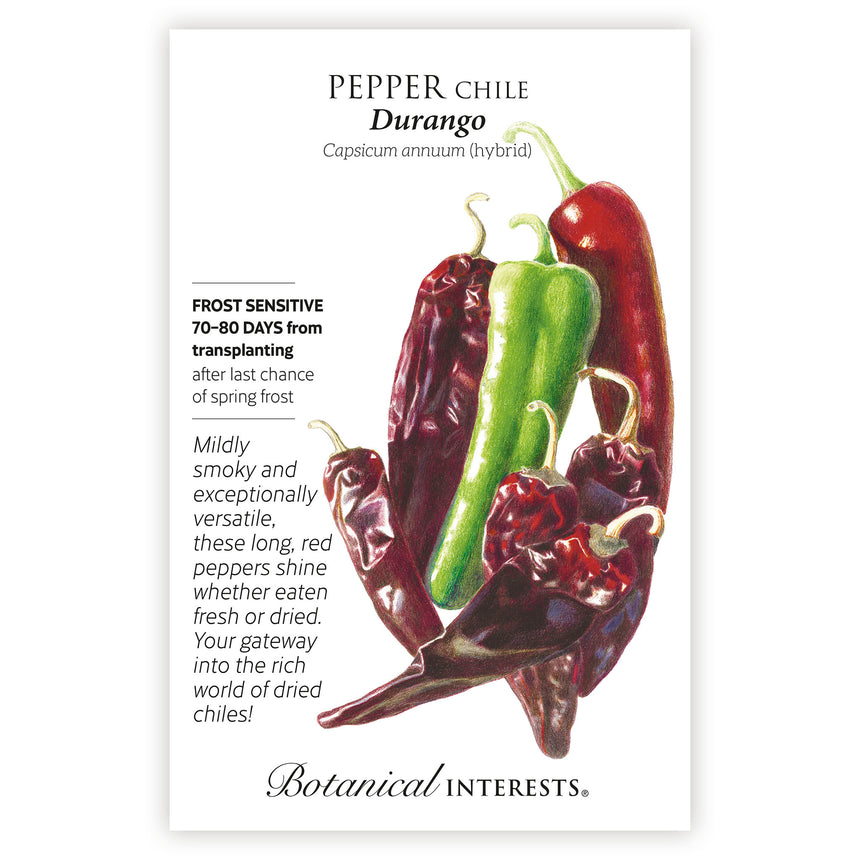 Durango Mirasol/Guajillo Chile Pepper Seeds