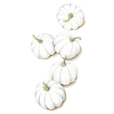 Casperita Pumpkin Seeds