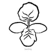 Pennsylvania Dutch Crookneck Winter Squash Seeds