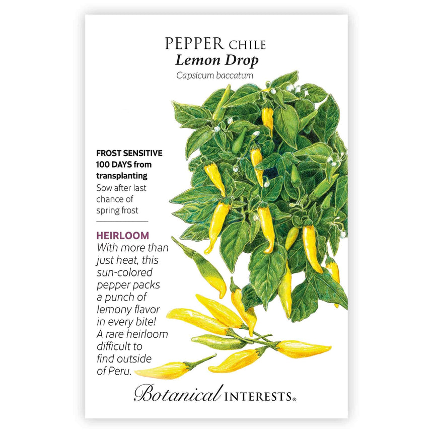 capsicum seeds to plant Botanical Interests Lemon Drop Chile Pepper Seeds