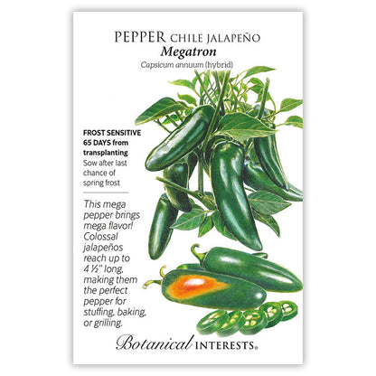 Megatron Jalapeño Chile Pepper Seeds