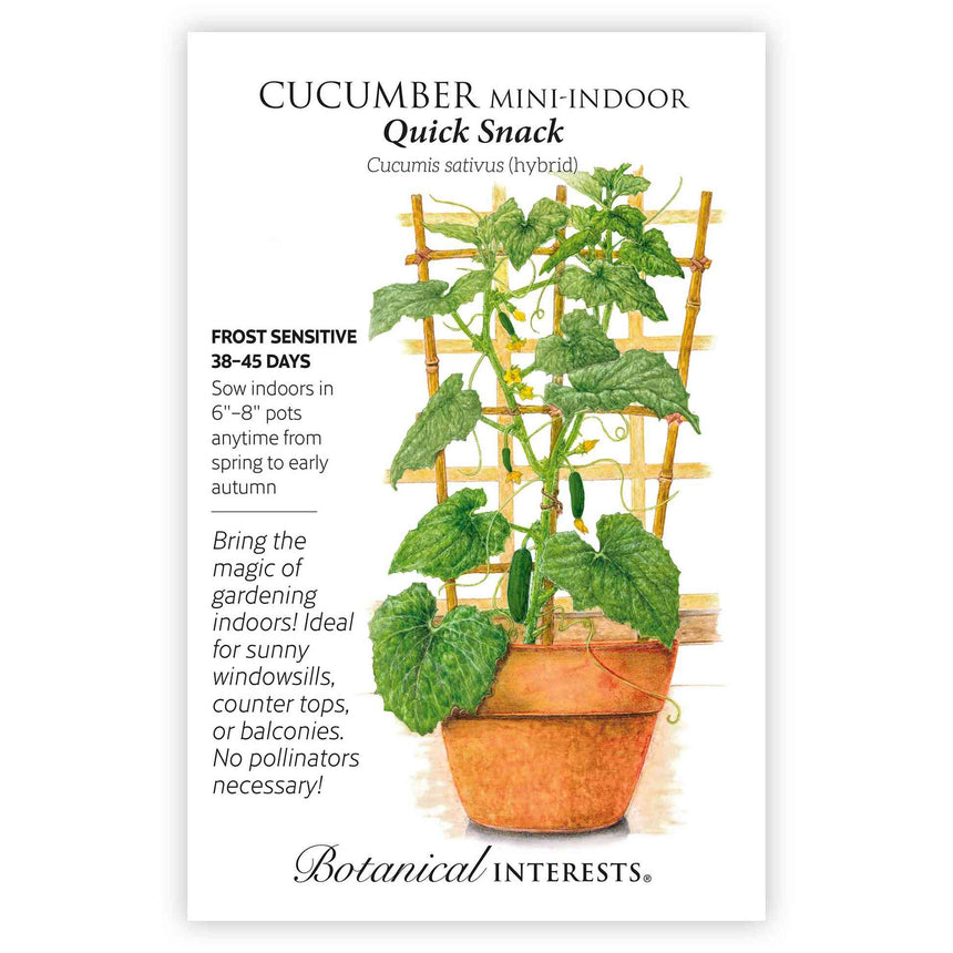 cucumber seed planting depth Quick Snack Cucumber Seeds