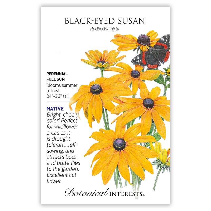 Eastern Breeze Butterfly Gift Set