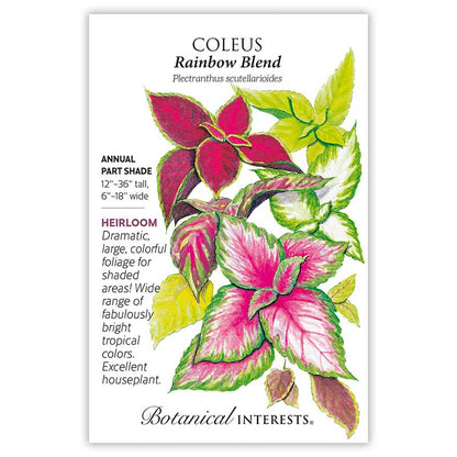 Rainbow Blend Coleus Seeds