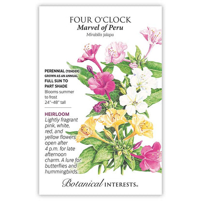 Marvel Of Peru Four O'Clock Seeds