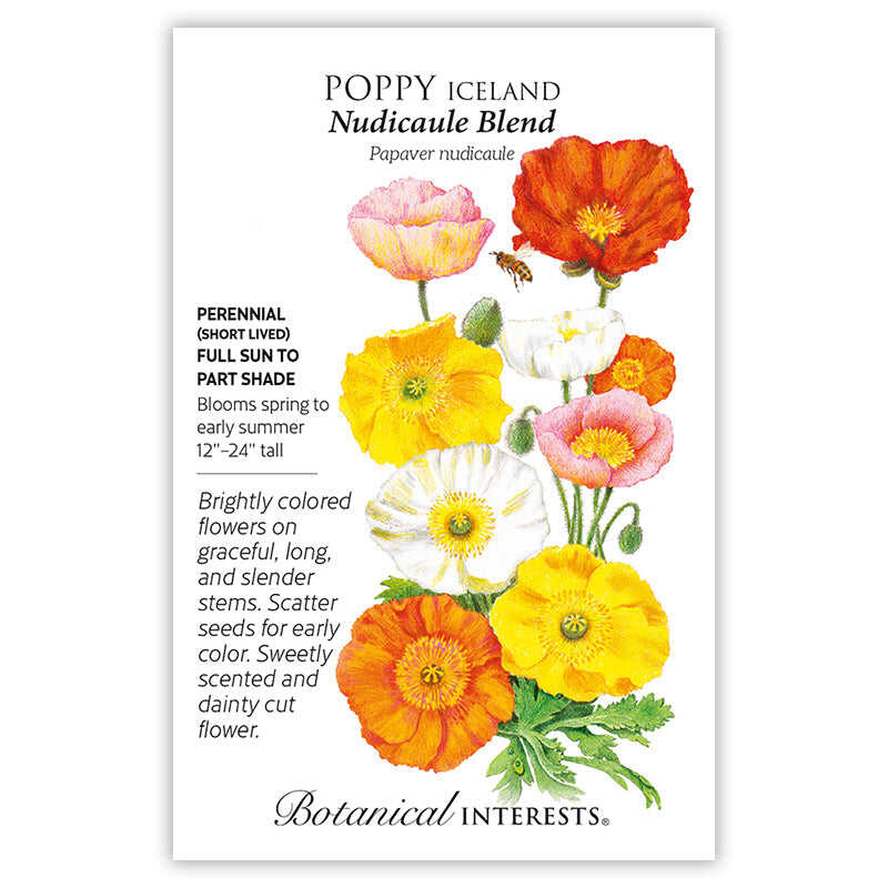planting icelandic poppy seeds Nudicaule Blend Iceland Poppy Seeds
