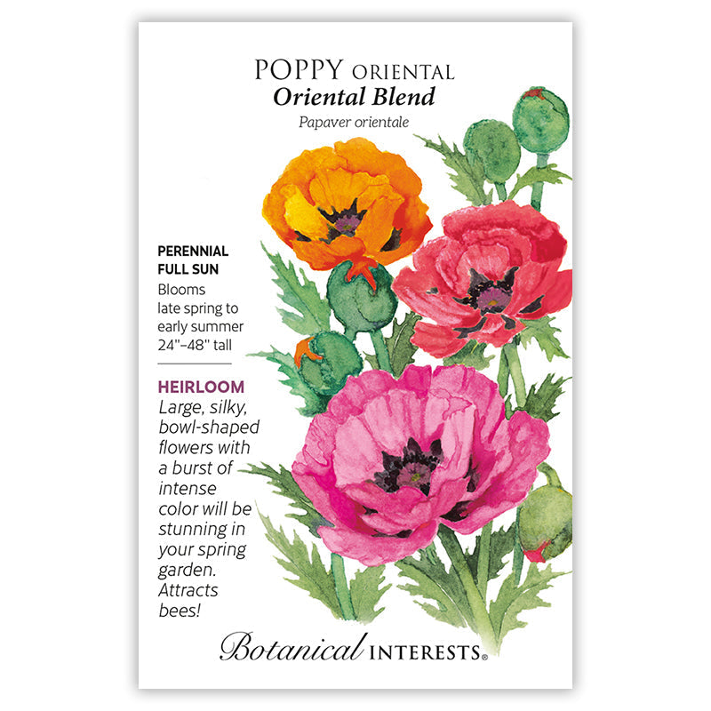 Oriental Blend Oriental Poppy Seeds