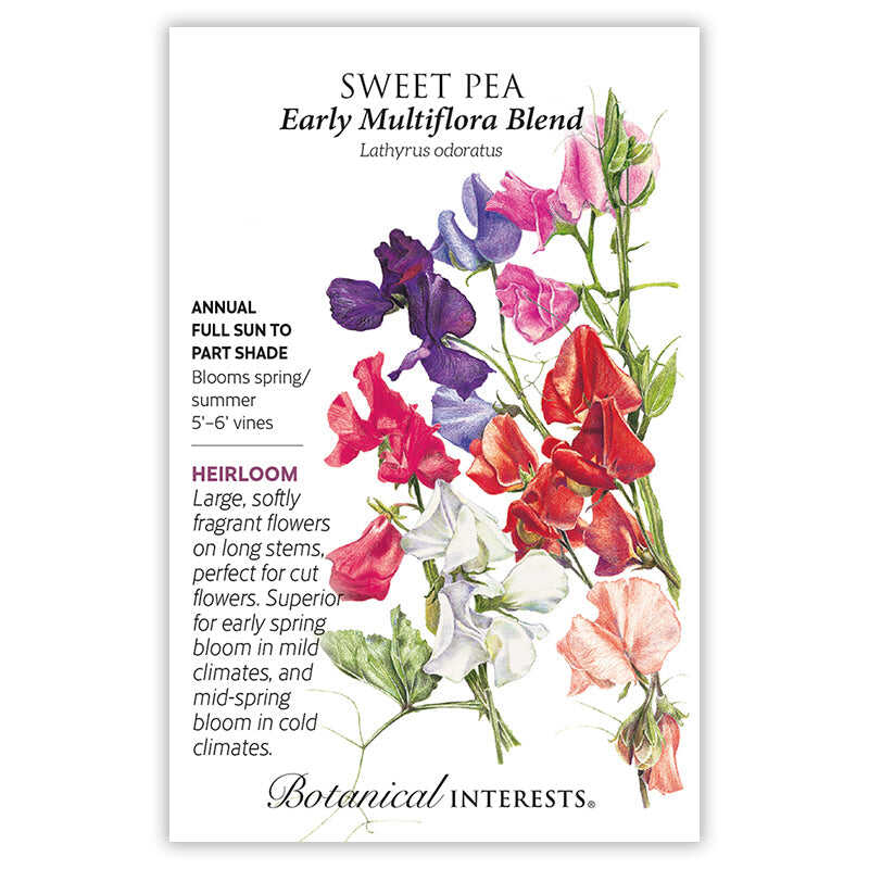 early spring flower seeds Early Multiflora Blend Sweet Pea Seeds