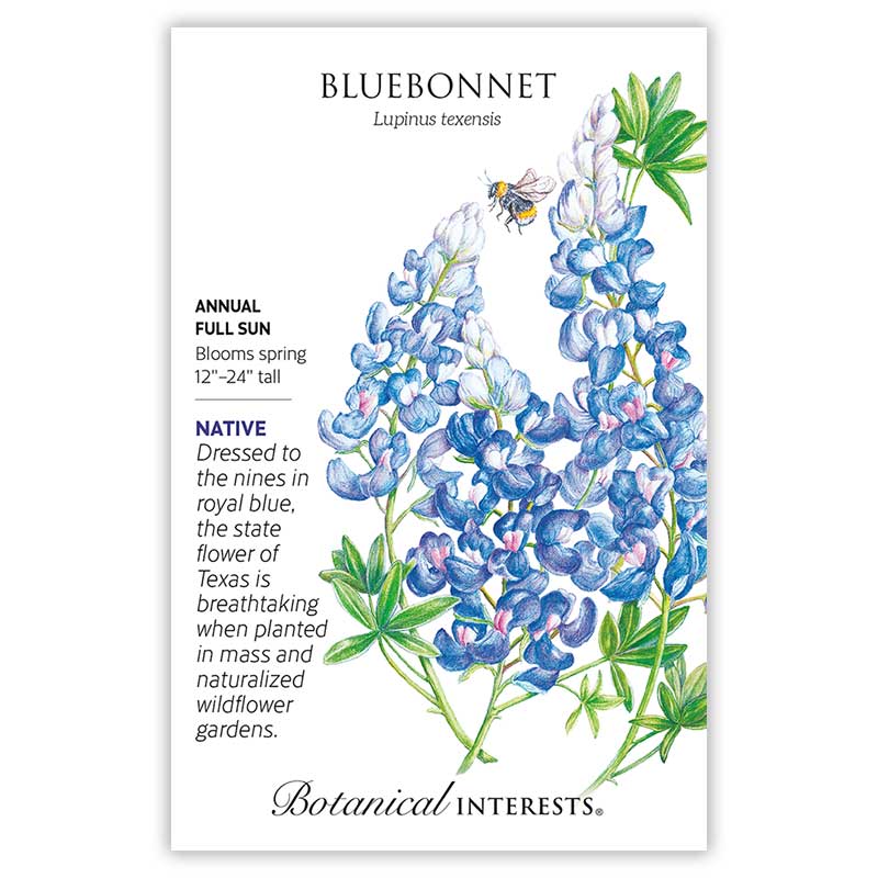 Bluebonnet Seeds – Botanical Interests