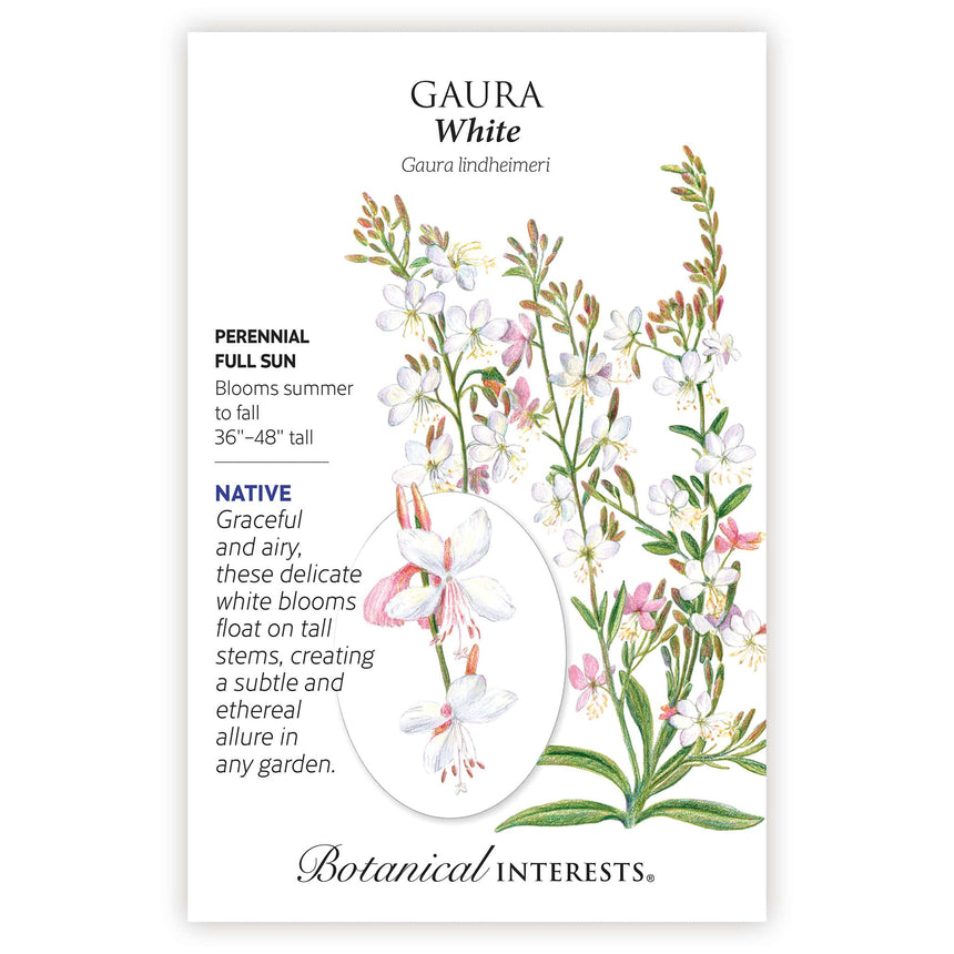 gaura flower seeds White Gaura Seeds – Botanical Interests