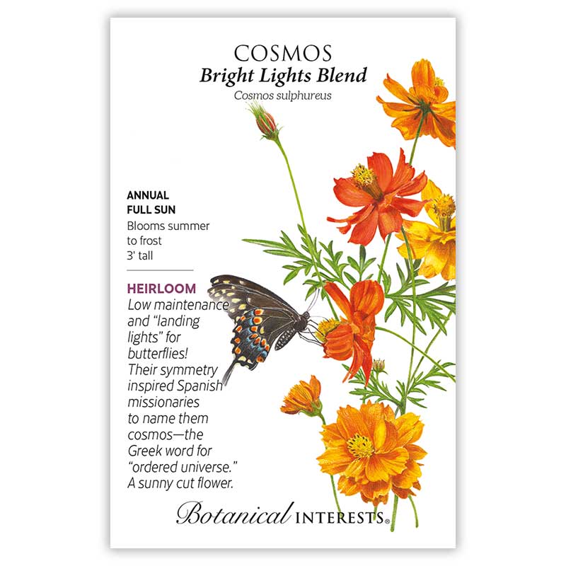 Bright Lights Blend Cosmos Seeds