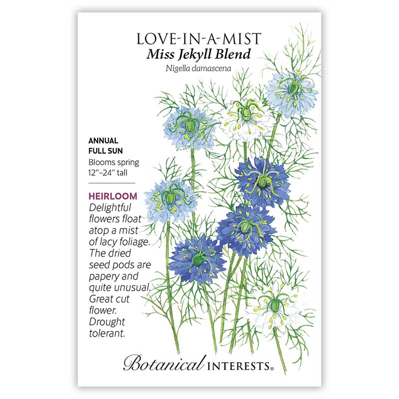Miss Jekyll Blend Love-In-A-Mist Seeds