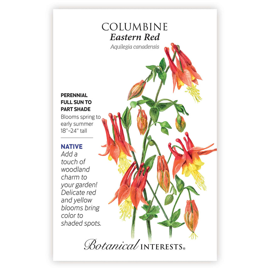 columbine flower seed Eastern Red Columbine Seeds