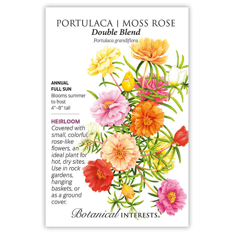 multi petal moss rose seeds Double Blend Portulaca (Moss Rose) Seeds