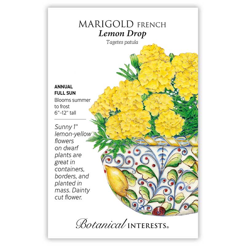 yellow french marigold seeds Lemon Drop French Marigold Seeds