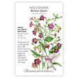 2026 New Varieties Seed Bundle