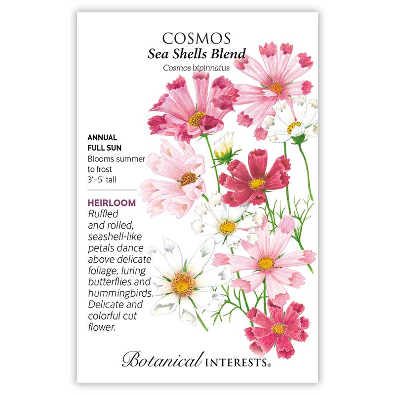 Dream In Color Seed Bundle