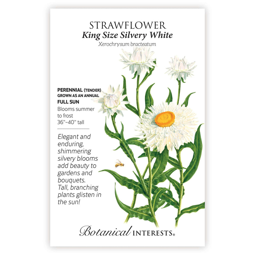 @bloomingjoyflowerco Dried Flower Bundle